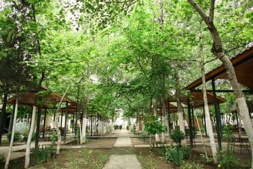 hovuzlu evler baki: Obyekt İstirahət Mərkəzi satılır 1 hektarda Hacıqabul İpək yolu — 9