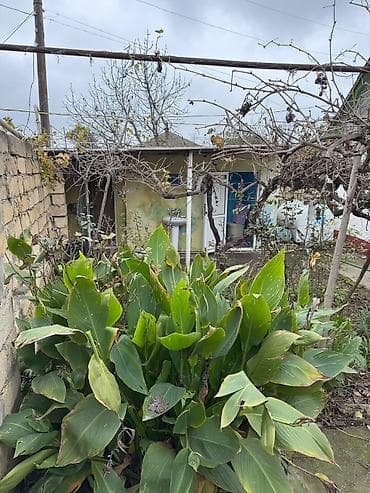 çıxarış nədir: 4 otaqlı, 8 kv. m, Kredit yoxdur, Orta təmir — 4