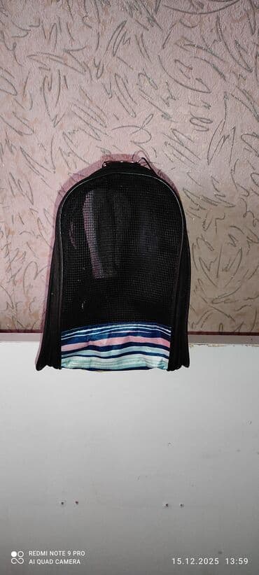 pişik daşıma qabı: Pişik üçün daşıma çantası. Zolaqlı dizayn, yuxarıda rahat tutacaq. Yan — 3