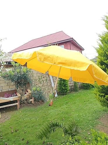 semeni formalari: Bağ/çimərlik çətiri – sarı rəng - Geniş səthli, dairəvi formalı günəş — 3