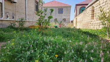 ismayıllı rayonu: 3 otaqlı, 130 kv. m, Kredit var, Yeni təmirli — 10