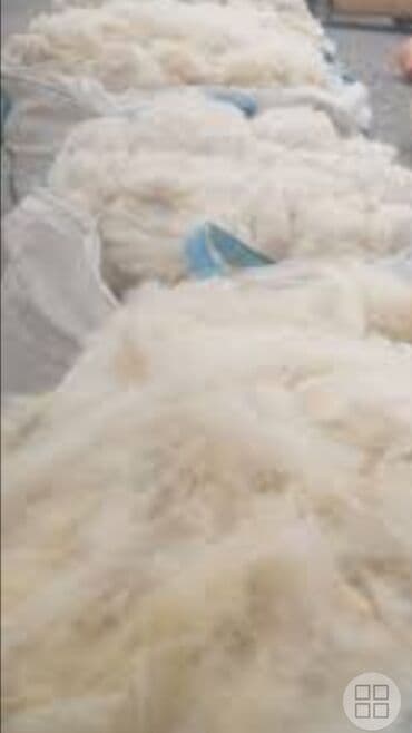 agdag astar qiymeti: QOYUN YUNU SATILIR Şamaxı yunu — 4