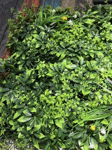 Dekorlarin topdan ve perekende satisi lalafo.az -da Dekorlarin topdan ve perekende satisi