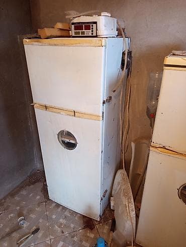 Kənd təssərüfatı avadanlığı: Bütün növ quşlaq üçün — 4