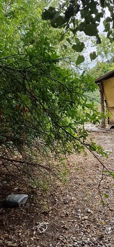 qobuda heyet evi: 3 otaqlı, 60 kv. m, Kredit var, Təmirsiz — 8