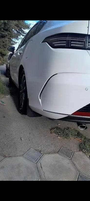 13 tekerler: Bufer qoruyucusu, BYD DESTROYER, 2025 il, Çin, Ünvandan götürmə — 9