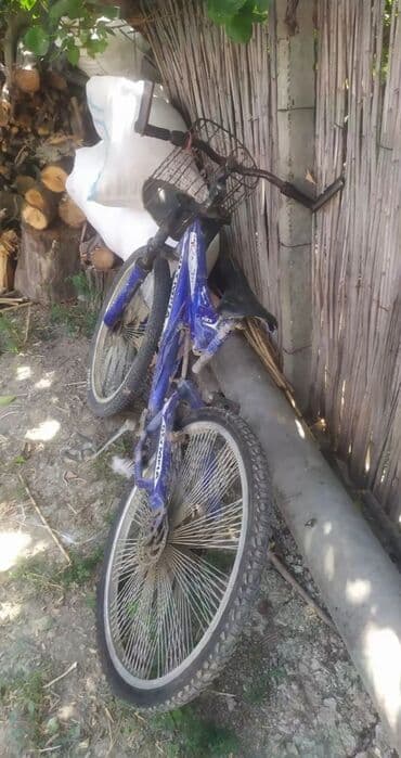 3d aboylarin qiymeti: Podval üçün Yeni Giriş qapısı 60x190 sm Glazok ilə, Zəmanətli, Pulsuz quraşdırma, Ünvandan götürmə, Pulsuz çatdırılma, Ödənişli çatdırılma — 12