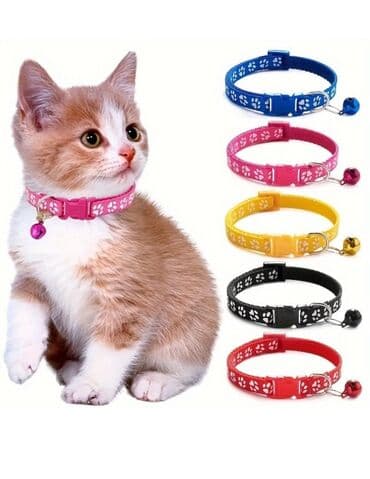 pişik yemek qabı: Meymuncuq zəngli pişik boyunluğu – tənzimlənən və rahat. - Rəng — 1