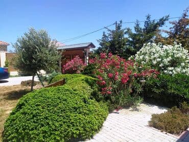 qaracuxurda ev: 130 kv. m, 4 otaqlı, Qaz, İşıq, Su — 21