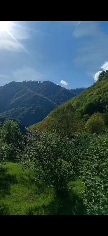 14 sot, Tikinti, Mülkiyyətçi, Kupça (Çıxarış)