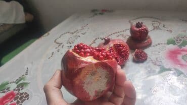 novruz bayrami xoncasi: Fiqur, rəng - Qırmızı — 3