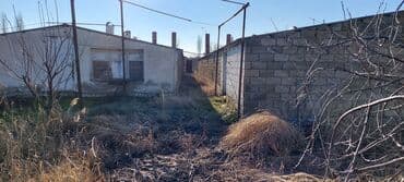 10 sot, Biznes üçün, Mülkiyyətçi, Kupça (Çıxarış)