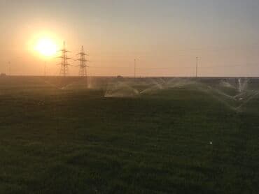 насосы для воды: Super Qazon — 1