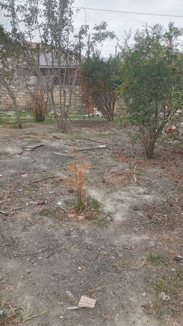 mx group inşaat: 2 sot, Tikinti, Mülkiyyətçi, Kupça (Çıxarış) — 1