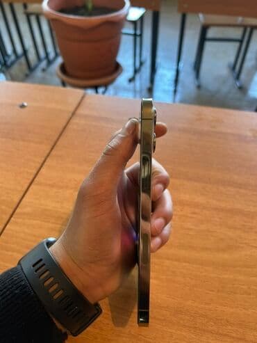 15 про макс: IPhone 12 Pro Max, 128 ГБ, Серебристый, Face ID — 5