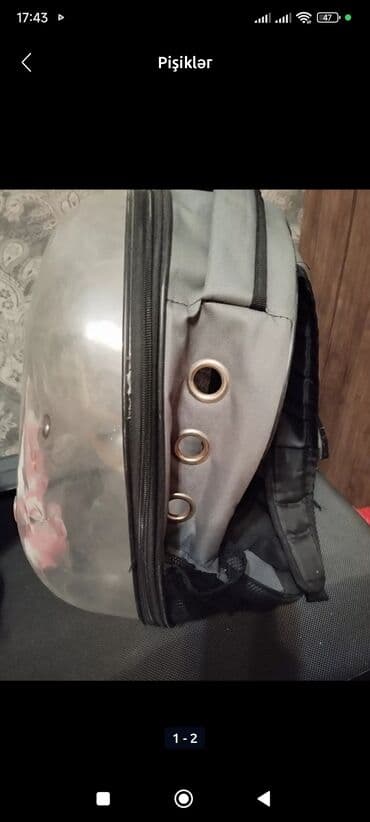 Digər heyvanlar: .Ayrıca qiymətə yemək qabıvannasıda var münasib qiyməte razılaşmaq — 2