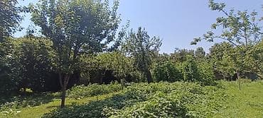 15 соток, Для сельского хозяйства, Собственник — 5