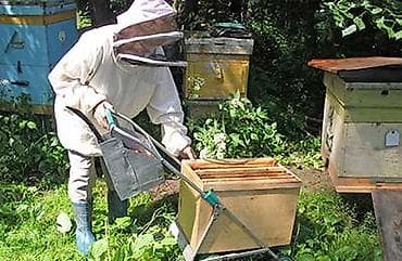 AĞSU Şəhərində Təcili Satilir Arı qutuları və Arı Ləvazimatları