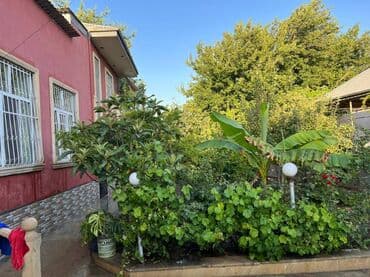 yeni evlər: 7 otaqlı, 320 kv. m, Yeni təmirli — 10