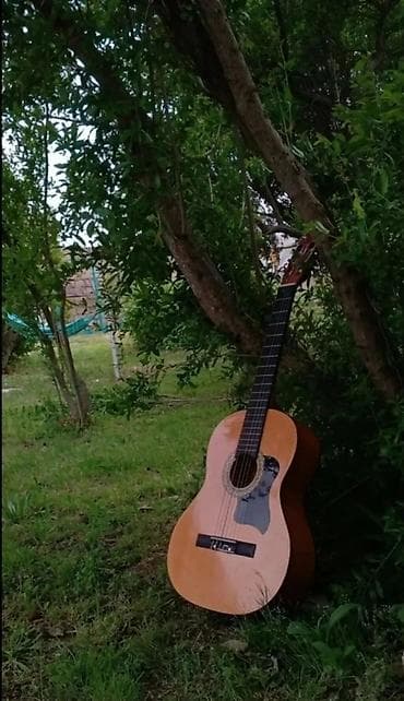 Klassik gitara, Yamaha, İşlənmiş