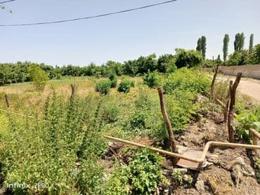 qurd qapisi kiraye evler: 13 sot, Biznes üçün, Mülkiyyətçi, Kupça (Çıxarış) — 5