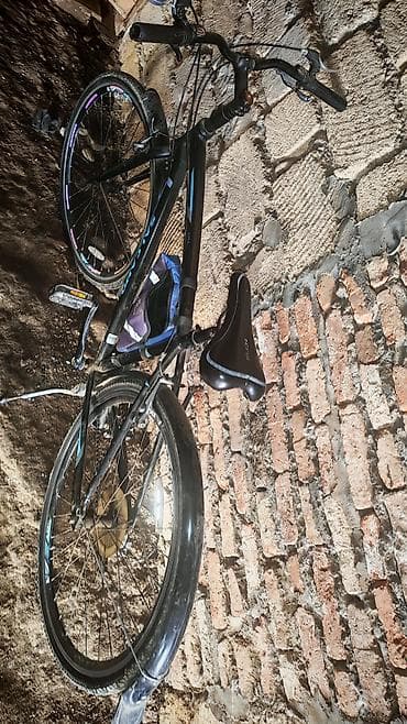 İşlənmiş Şəhər velosipedi Salcano, 29", sürətlərin sayı: 10, Ünvandan götürmə