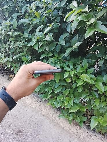 iphone x case: IPhone 11, Qara — 6