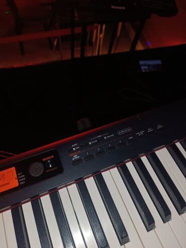 elektron pianolarin satisi: Пианино, Casio, Цифровой — 3