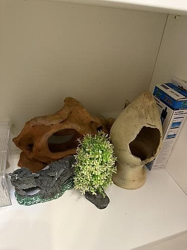 balıq yemleri: Dördbucaq akvarium, Balıqlarla birlikdə, 240 l — 8