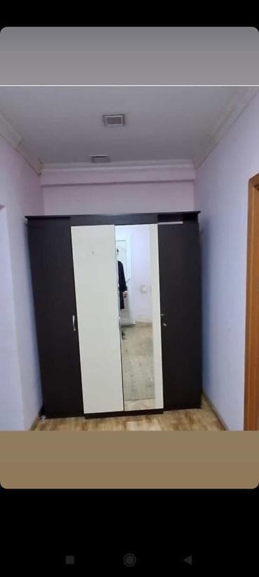 3 qapılı, Güzgülü, Qəhvəyi, Digər material, Açılan, Düz dolab