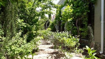 qaracuxurda ev: 200 kv. m, 5 otaqlı — 11