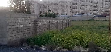 turkan torpaq: 3 sot, Kənd təsərrüfatı, Mülkiyyətçi, Kupça (Çıxarış), Texniki pasport — 4