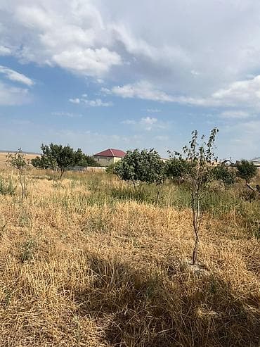 şeki: Tikinti — 3