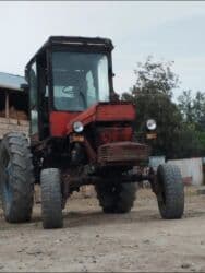 qoşqu lapet: Qoşqular — 1