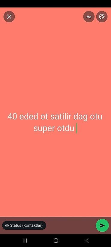 nol faza matorlar: Məhsul: Dağ otu (40 ədəd) Təsvir: - Təbii dağlardan toplanmış ətirli — 1