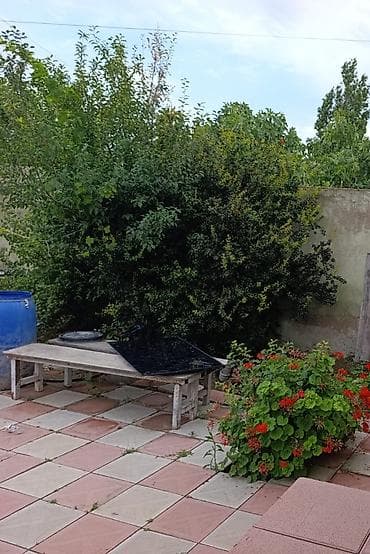2 otaqlı, 60 kv. m, Kredit yoxdur, Yeni təmirli