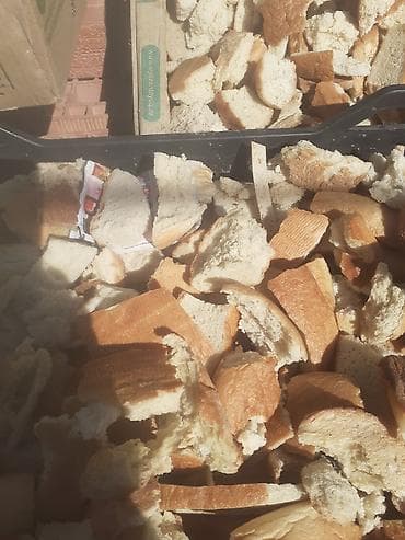 pişik yemi qiyməti: Guru corek 50 kilolug yem kisesinde. 4 azn. xirdalan icra — 5