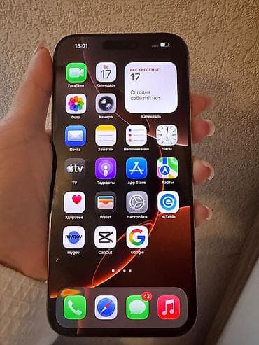iphone 1w: IPhone 16 Pro Max, 256 GB, Desert Titanium, Barmaq izi, Face ID — 4