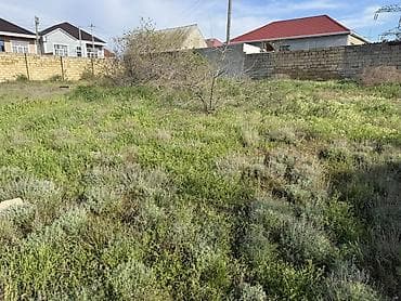 продажа земельных участков в баку: 7 соток, Для строительства, Собственник, Купчая — 10
