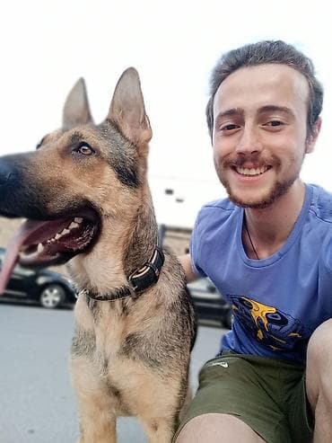 ata sigorta: 🐾 DOGGIES_X WALKING • BAKU Последние 5 лет собаки — часть моей жизни — 3