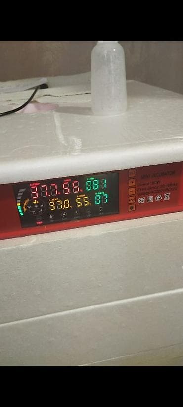 Biznes üçün avadanlıq: Mini İnkubator – rəqəmsal idarəetmə panelli 192 ədədlikdi. - Model — 1