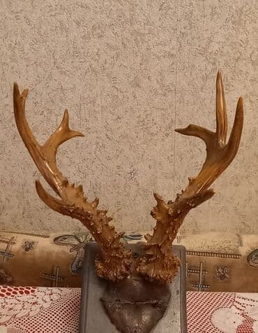 kecibuynuzu behmezi kisiler ucun: Maral buynuzu. Texminen 30 ildir mendedir. Tebii maral buynuzu. Ciddi — 2