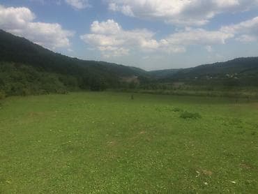 dasinmaz emlak mingəçevir: 20 sot, Biznes üçün, Mülkiyyətçi, Kupça (Çıxarış) — 1