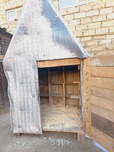 it alqi satqisi: Salam teze yiglib istiyen olsa unvan bine savxoz — 5