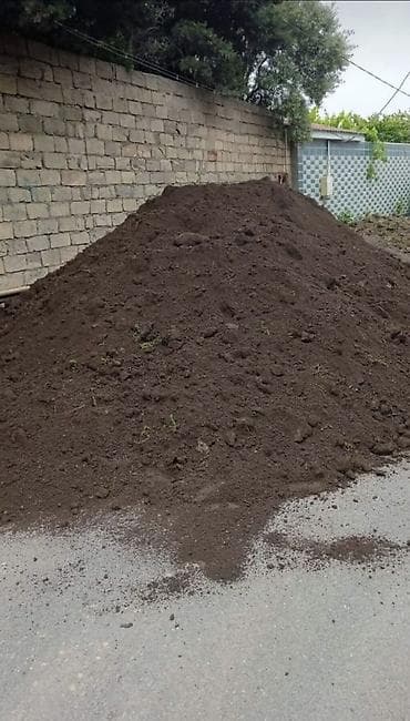 Дом и сад: On Münbit Torpaq va 100% Tamiz Peyin - Tacili Satış! * Ağac,Bağ — 4