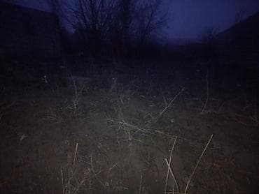 coratda torpaq: 2 sot, Tikinti, Mülkiyyətçi, Kupça (Çıxarış) — 3