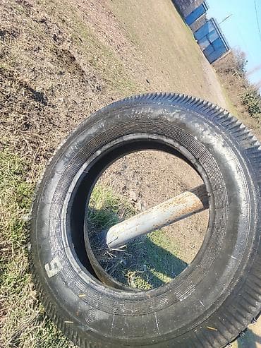 mercedesbenz 190 w201: Satilir lapet kameri və sidenya teker: 6.00-16 ölçülü — 6