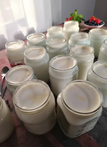 Məhsul: Bərdə rayon Tam Xalis Kənd qatiği. Təsvir