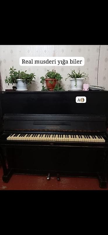 16 lik velosiped: AYGUN 🌖 300 azn.‼️Belorusiyanindi.Pianino satılır.Problemi yoxdu,bircə — 1