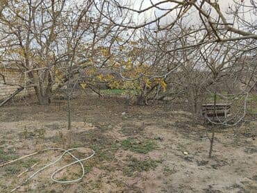 dübəndi torpaq: 11 sot, Tikinti, Makler, Kupça (Çıxarış) — 3